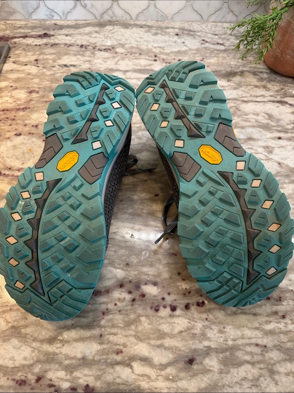 Eddie Bauer Guide Pro Hiker boots / shoes